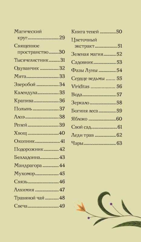 Тайный оракул Зеленой ведьмы (50 карт и руководство в подарочном оформлении)