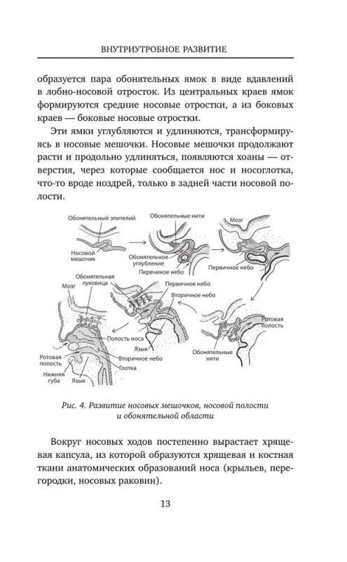 Сопливый ребенок и его спокойная мама. Первая помощь маленьким носикам, горлышкам и ушкам