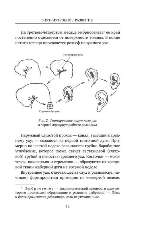 Сопливый ребенок и его спокойная мама. Первая помощь маленьким носикам, горлышкам и ушкам