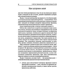 Интеллект-тренажер Келли для развития вашего мозга. Программа занятий для повышения интеллекта, памяти и внимания