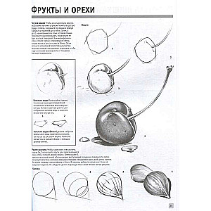 Рисуем карандашом портреты, натюрморты, пейзажи