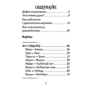 Фамильяры ведьмы. Рунический оракул 24 карты и руководство