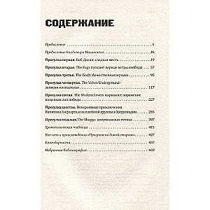 Панк-рок. Предыстория. Прогулки по дикой стороне: от Боба Дилана до Капитана Бифхарта