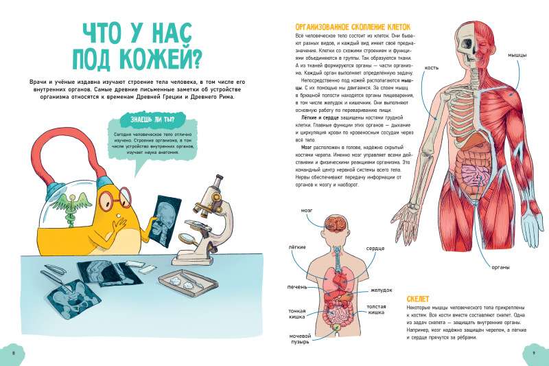 Удивительные энциклопедии. Невероятное тело человека