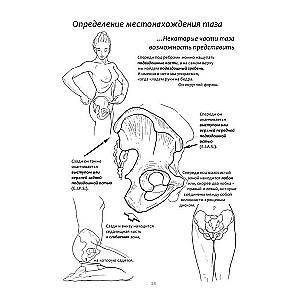 Книга упражнений для прокачки мышц тазового дна. Французская система полного физического восстановления для женщин