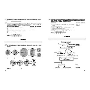 ЕГЭ-2024. Биология. Тематические тренировочные задания