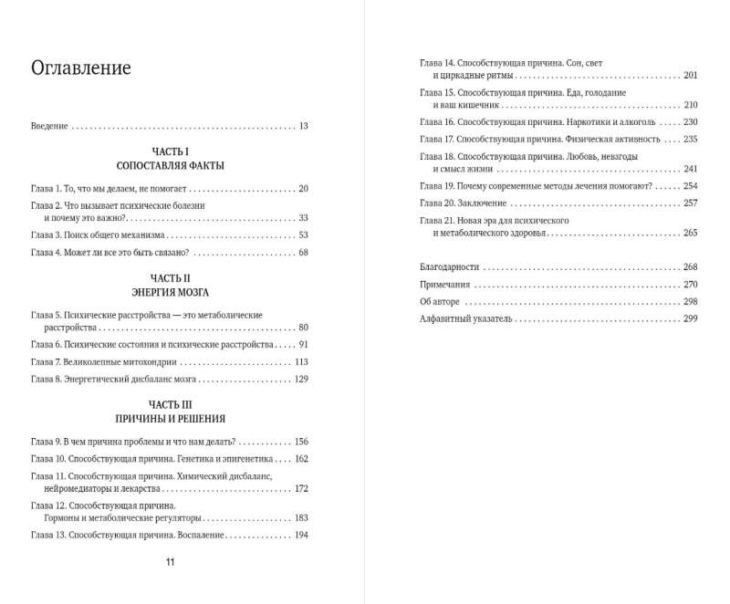 Энергия мозга. Теория развития всех психических заболеваний, объясняющая их общую причину
