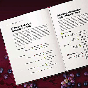 Виномания. Наглядный путеводитель по винному миру