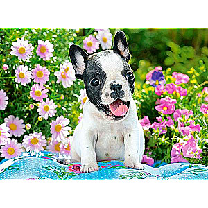 Пазл French Bulldog Puppy 70 дет.