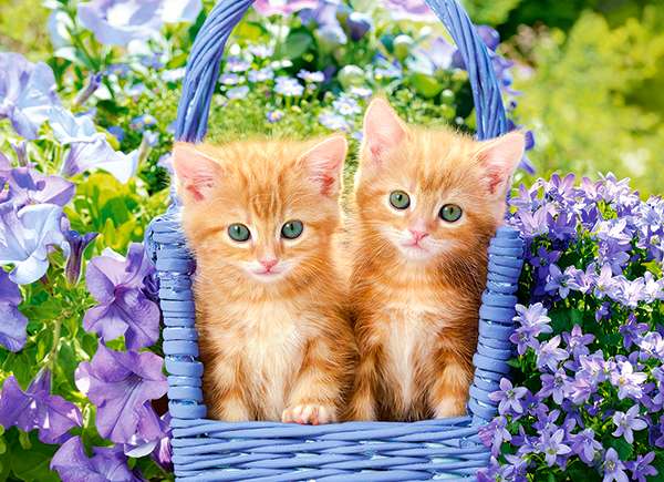 Пазл Ginger Kittens 70 дет.