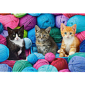 Пазл Kittens in Yarn Store 1000 дет.