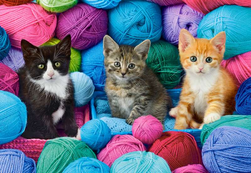 Пазл Kittens in Yarn Store 1000 дет.