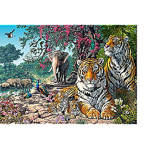 Пазл CASTORLAND Tiger Sanctuary 300 дет.