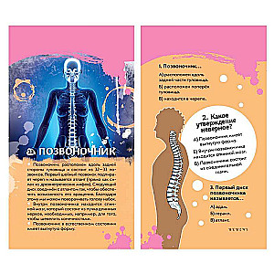 Викторина на карточках Тело человека. Суперквиз! (48 карточек)