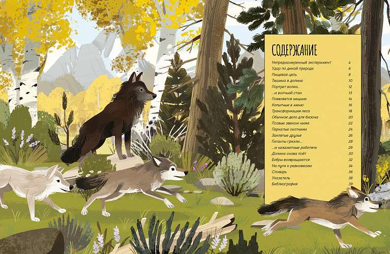 Вернуть волков: как хищники восстановили баланс экосистемы