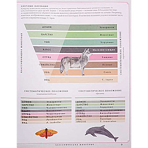 Детский атлас-определитель животных
