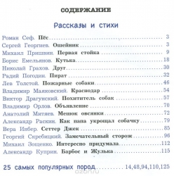 Большая книга про собак: Рассказы и стихи. Легендарные собаки