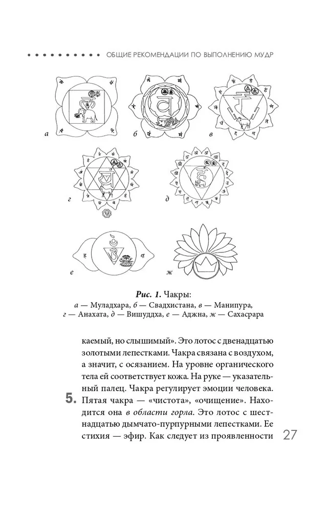 Йога-практики. Мудры, мантры, медитации