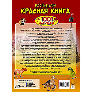 Большая красная книга. 1001 фотография