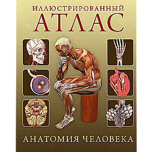 Ilustrowany atlas. Anatomia człowieka