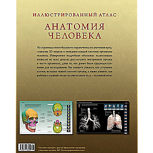 Ilustrowany atlas. Anatomia człowieka