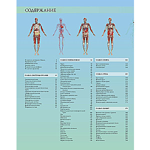 Ilustrowany atlas. Anatomia człowieka