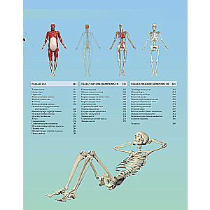 Ilustrowany atlas. Anatomia człowieka