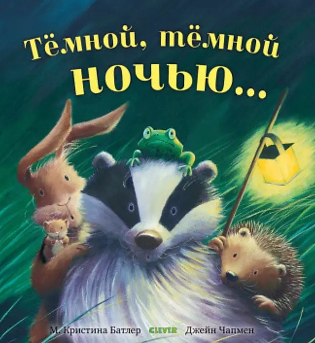 Тёмной, тёмной ночью