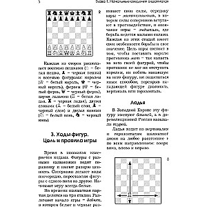 Шахматы для начинающих. Правила, навыки, тактика