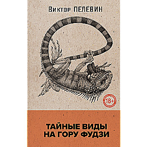 Тайные виды на гору Фудзи (книга со стикерпаком)