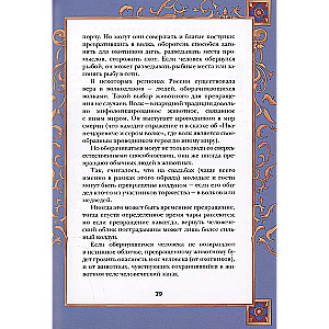 Русские народные сказки с мужскими архетипами. Иван-царевич, серый волк, Кощей Бессмертный и другие герои