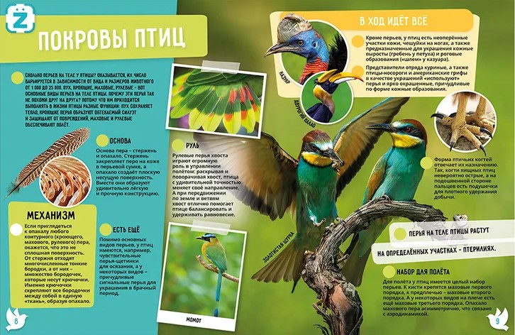 Птицы. 250 невероятных фактов