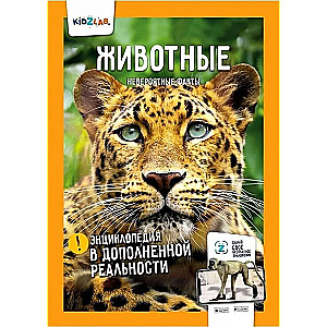 Динозавры. Мировой океан. Насекомые и паукообразные. Животные