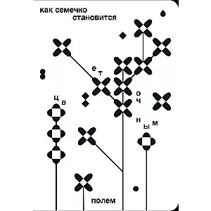 Как семечко становится цветным полем