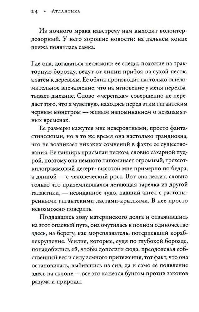 В погоне за черепахой. Путешествие длиной в 200 миллионов лет