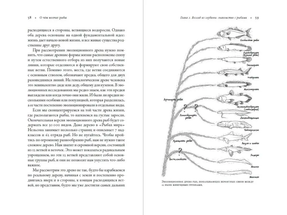О чём молчат рыбы. Путеводитель по жизни морских обитателей