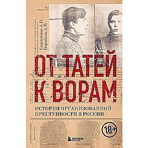 От татей к ворам. История организованной преступности в России