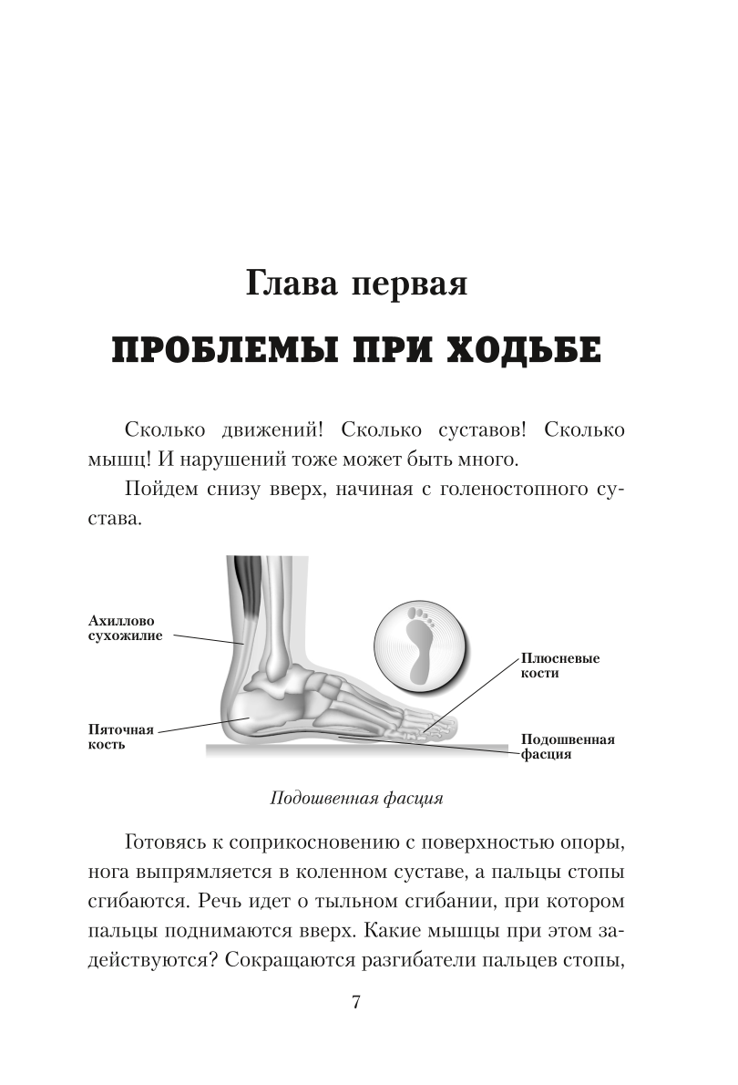 Практическая кинезиология. Упражнения для мышц-халтурщиц