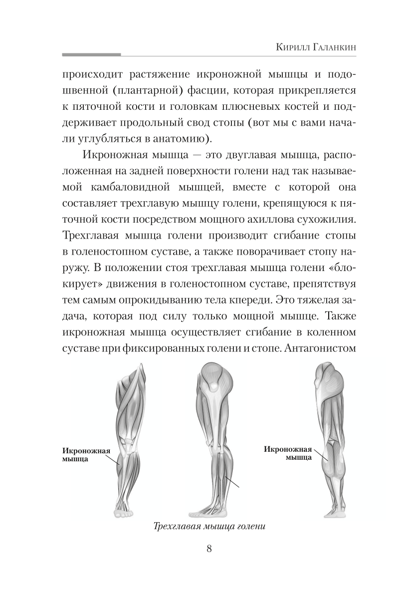 Практическая кинезиология. Упражнения для мышц-халтурщиц