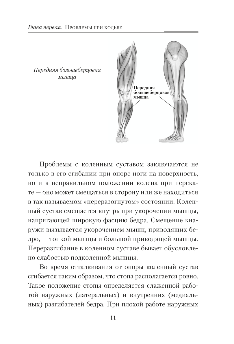 Практическая кинезиология. Упражнения для мышц-халтурщиц