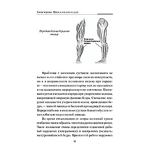 Практическая кинезиология. Упражнения для мышц-халтурщиц