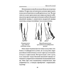 Практическая кинезиология. Упражнения для мышц-халтурщиц