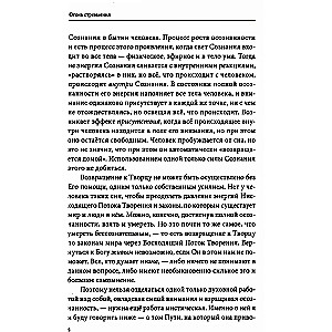 Огонь стремления. Книга о суфийской Работе