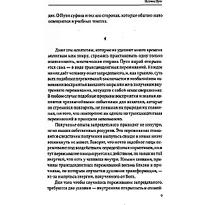 Огонь стремления. Книга о суфийской Работе