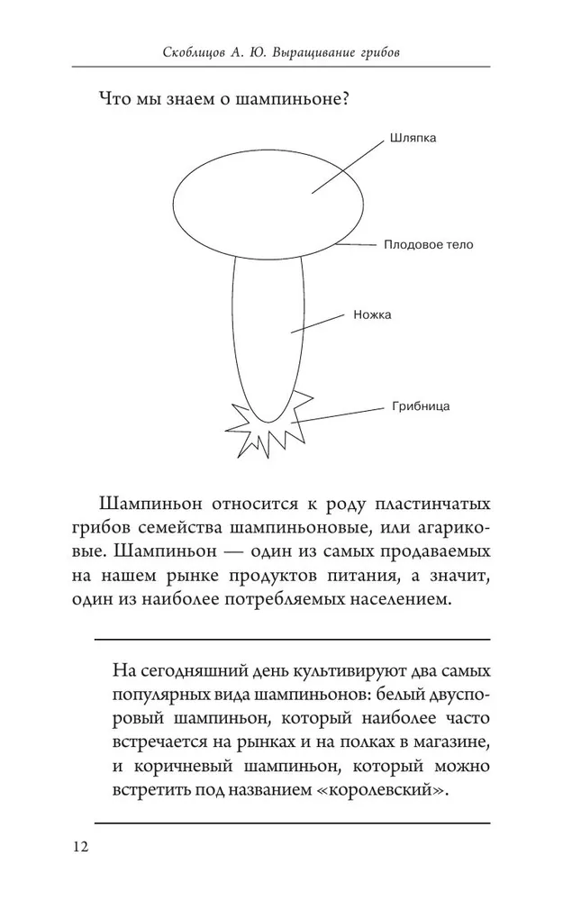 Выращивание грибов. Мини-бизнес с нуля