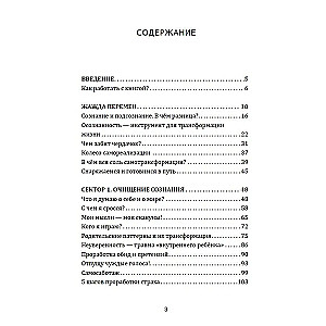 Колесо самореализации. Пошаговое руководство для трансформации жизни