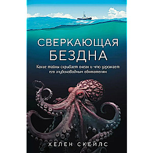 Błyszcząca otchłań. Jakie tajemnice kryje ocean i co zagraża jego głębinowym mieszkańcom?