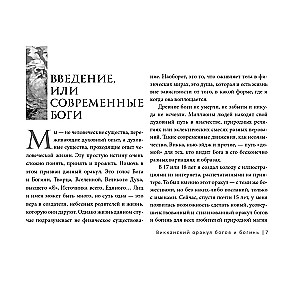 Викканский оракул богов и богинь. Советы из сердца солнца и души луны