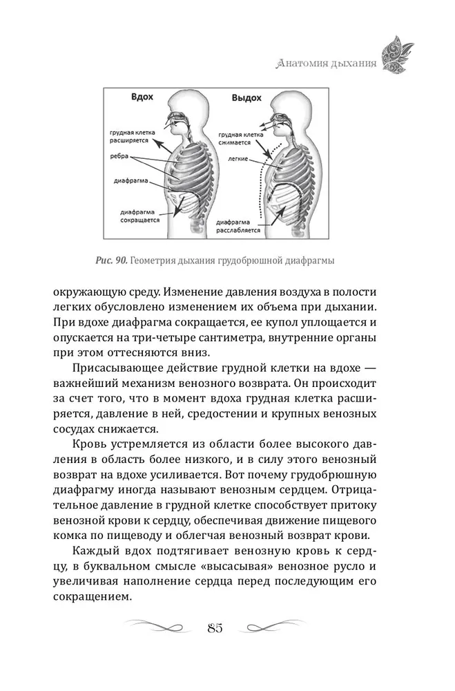 Tajemnice geometrii oddychania. Jak oddychać, aby zachować zdrowie, młodość i urodę