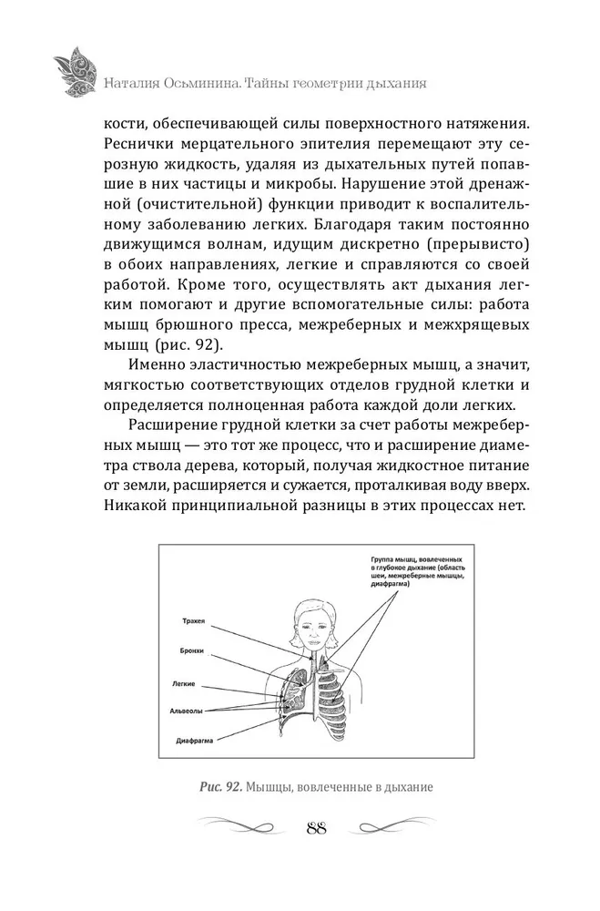 Тайны геометрии дыхания. Как дышать, чтобы сохранять здоровье, молодость и красоту